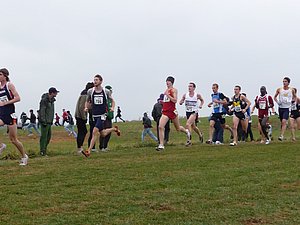 P1000824.JPG