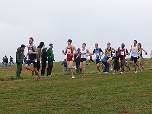 P1000825.JPG