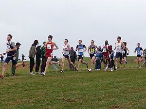 P1000826.JPG