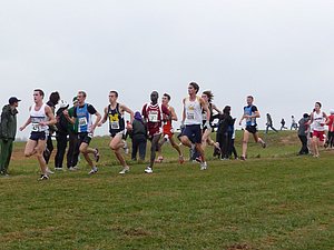P1000829.JPG