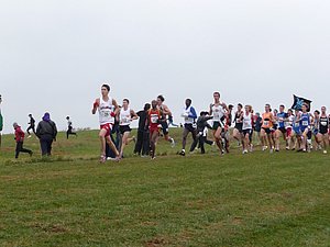 P1000838.JPG