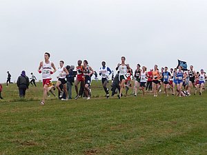 P1000839.JPG