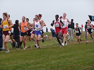 P1000841.JPG