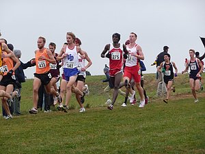P1000842.JPG