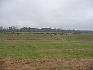 P1000843.JPG