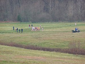 P1000849.JPG