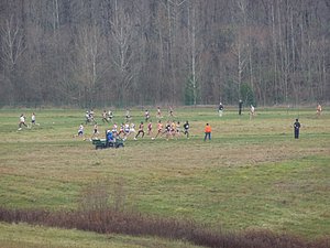 P1000850.JPG