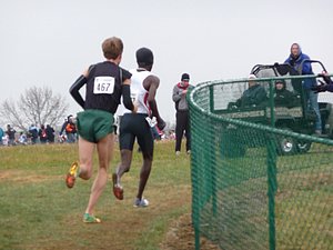 P1000875.JPG