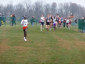 P1000897.JPG