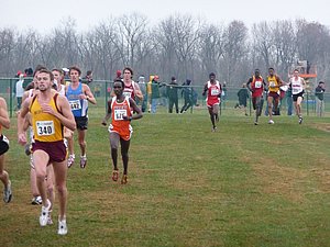 P1000900.JPG