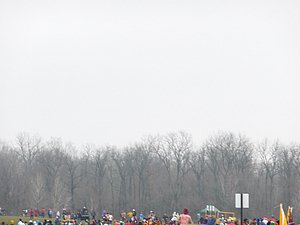 P1000917.JPG