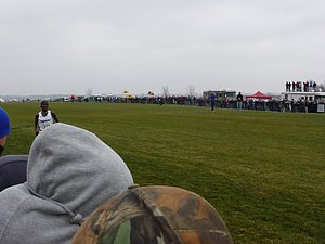 P1000933.JPG