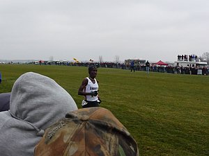 P1000938.JPG