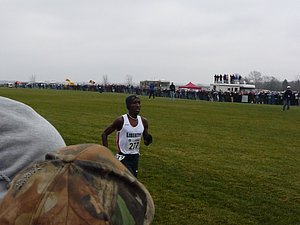 P1000939.JPG