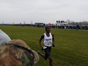 P1000940.JPG