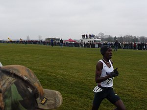 P1000941.JPG