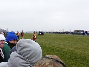 P1000961.JPG