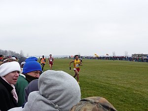P1000963.JPG