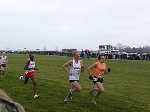 P1000974.JPG