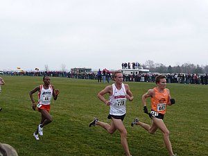 P1000975.JPG