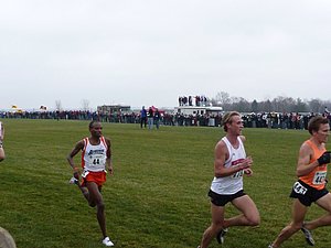 P1000976.JPG