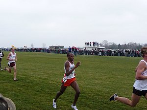 P1000977.JPG