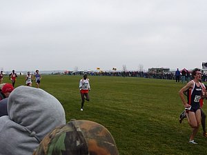 P1000979.JPG