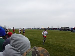 P1000981.JPG