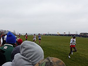 P1000983.JPG