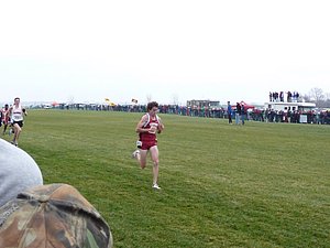 P1000984.JPG