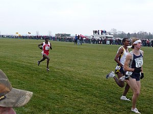 P1000986.JPG