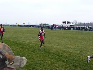 P1000987.JPG