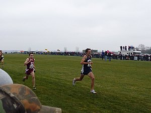 P1000990.JPG