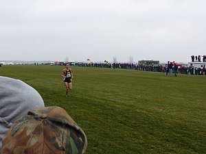 P1000997.JPG