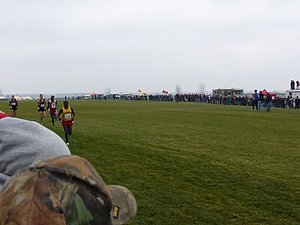 P1010007.JPG