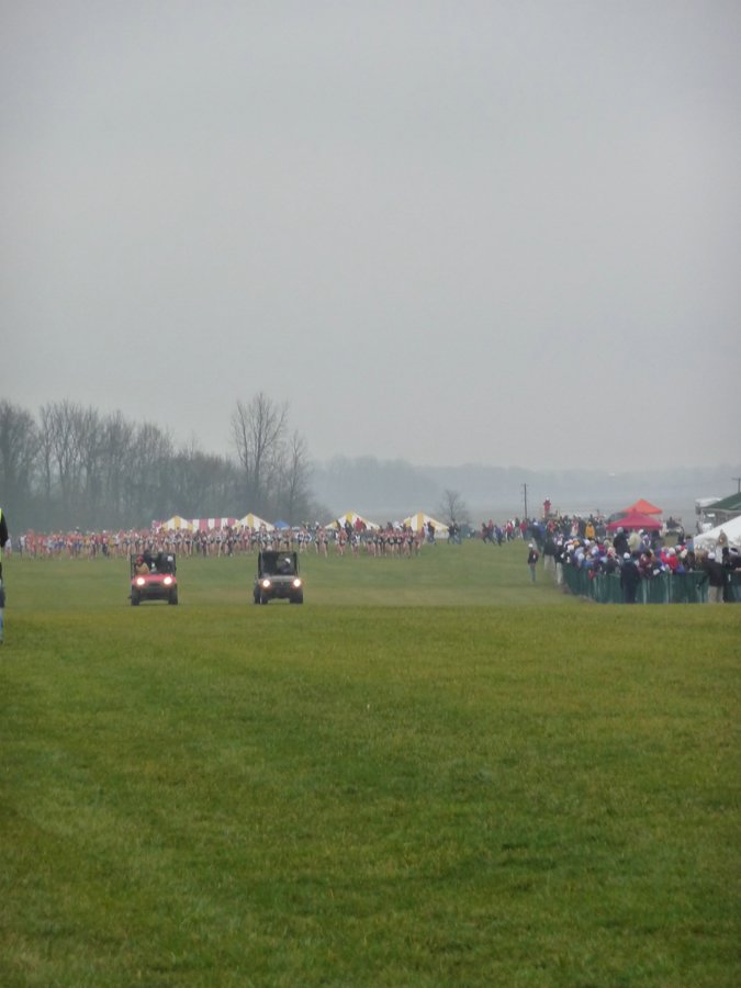 P1000141.JPG