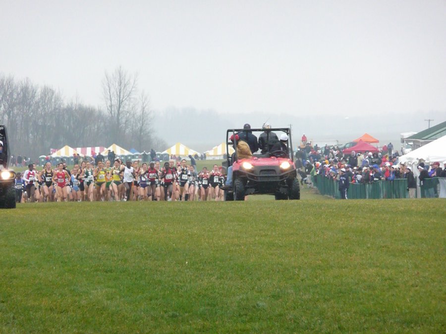 P1000142.JPG