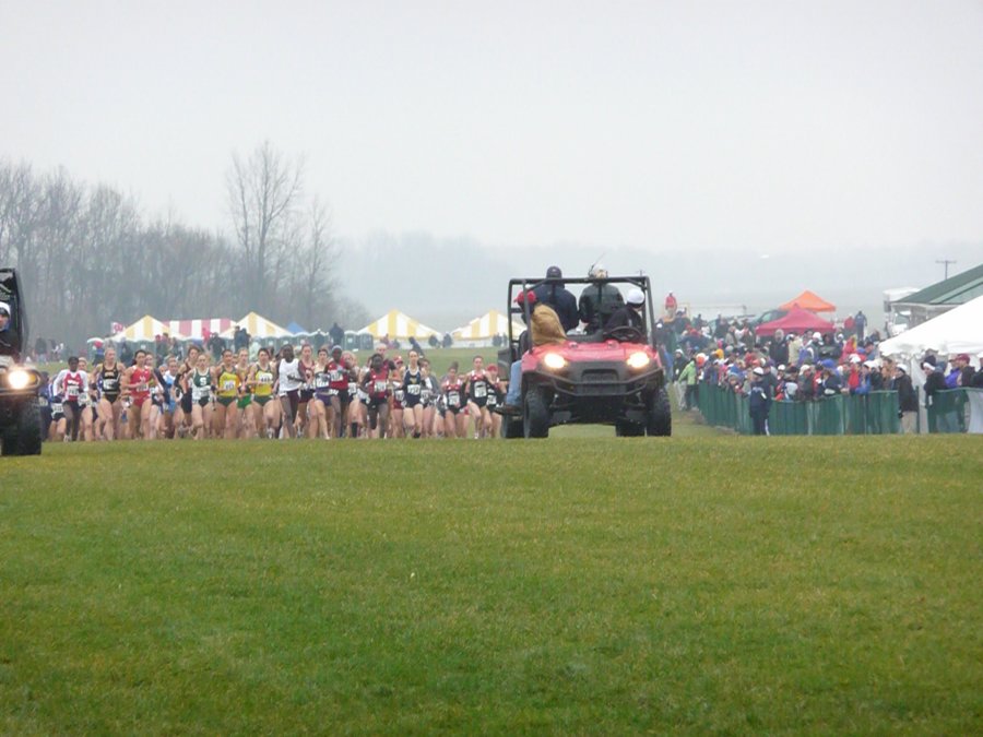 P1000143.JPG