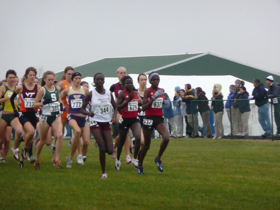 P1000148.JPG