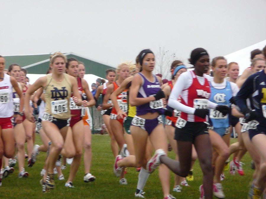 P1000153.JPG