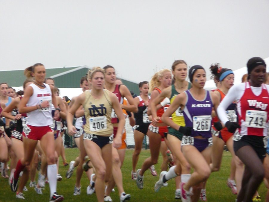 P1000154.JPG