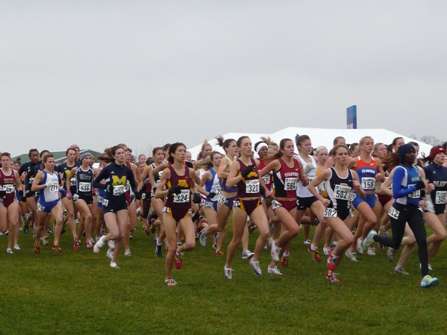 P1000155.JPG