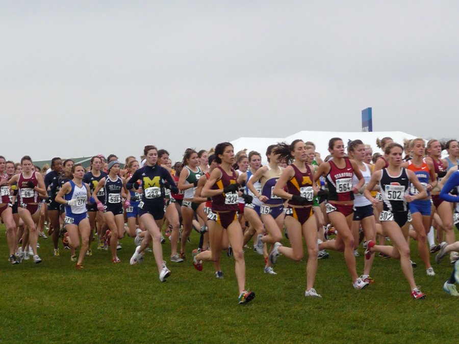 P1000156.JPG