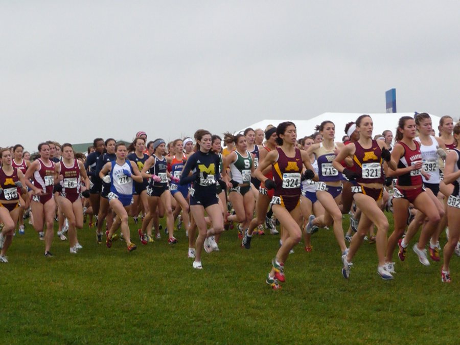 P1000157.JPG