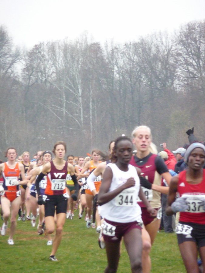 P1000176.JPG