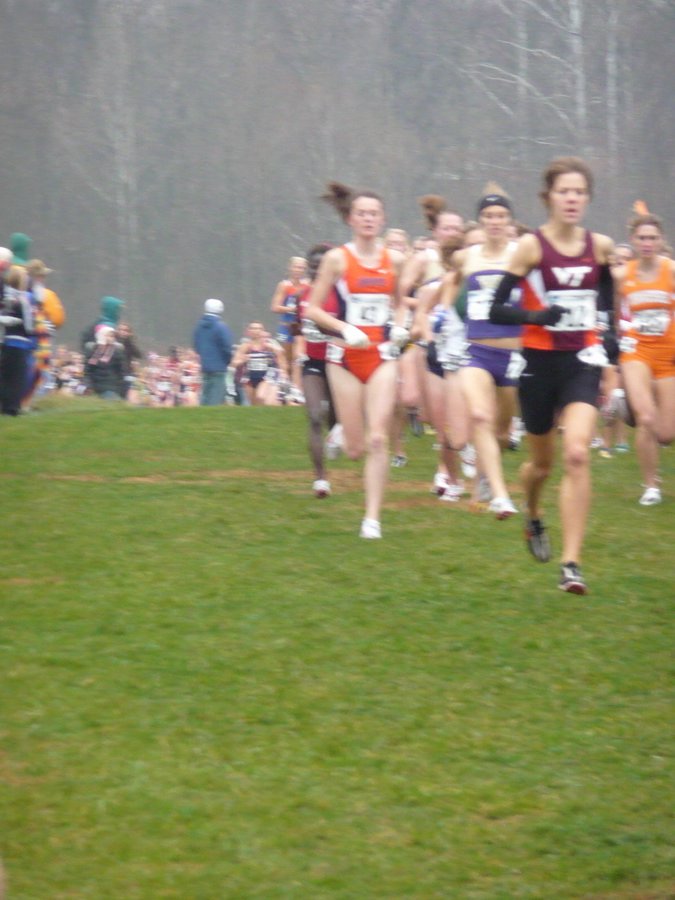P1000179.JPG