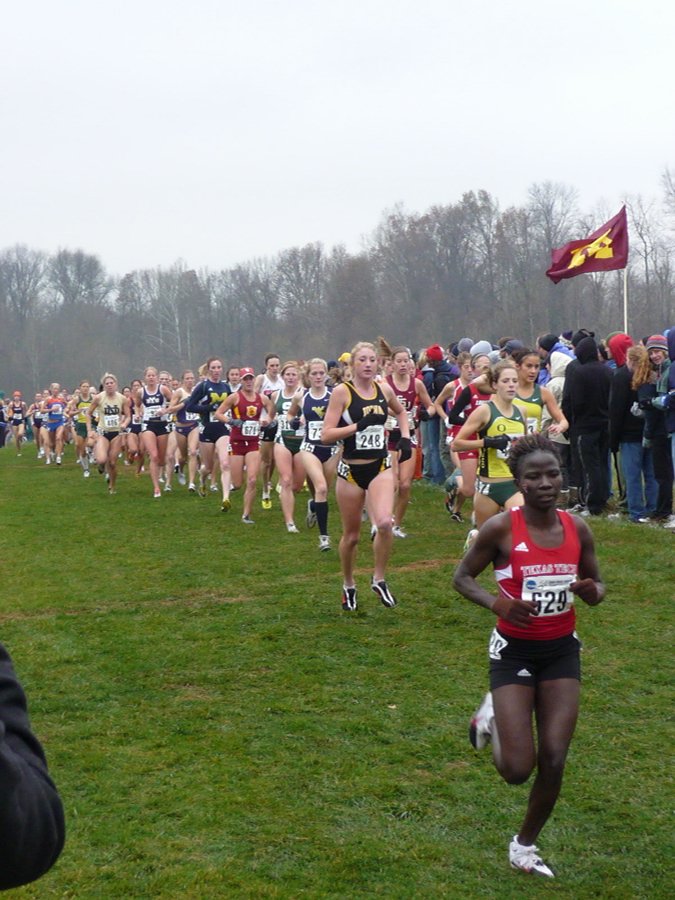 P1000186.JPG