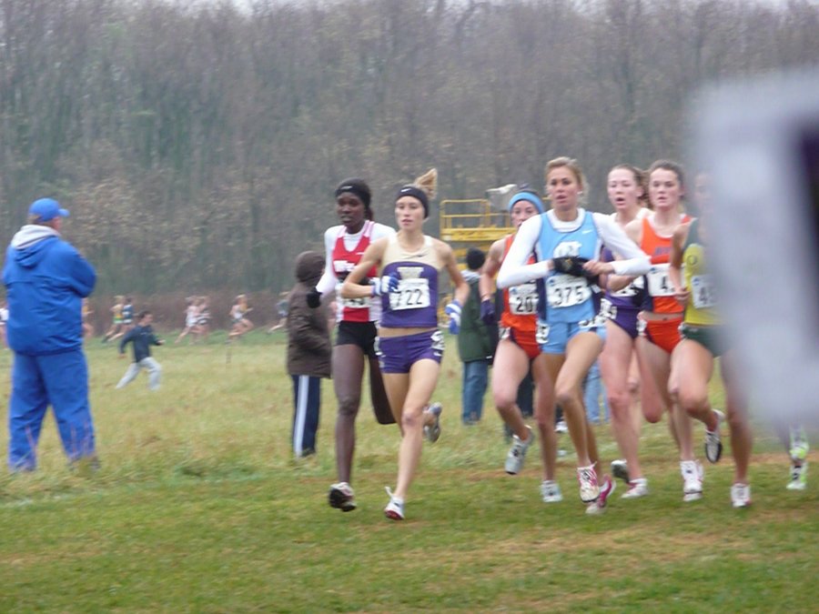 P1000243.JPG