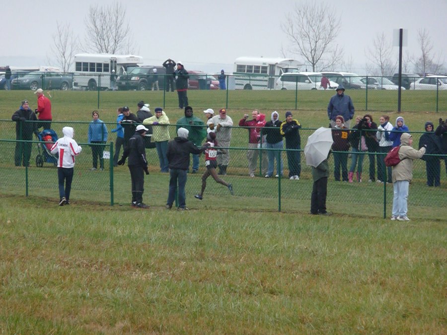 P1000276.JPG