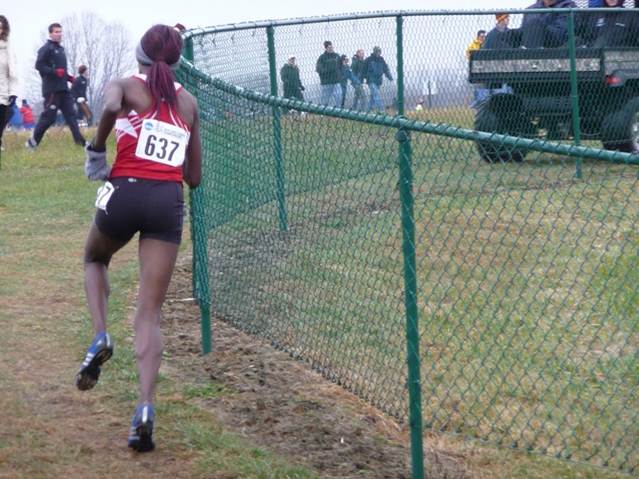 P1000300.JPG